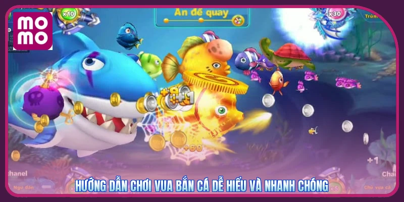 Hướng dẫn chơi vua bắn cá dễ hiểu và nhanh chóng