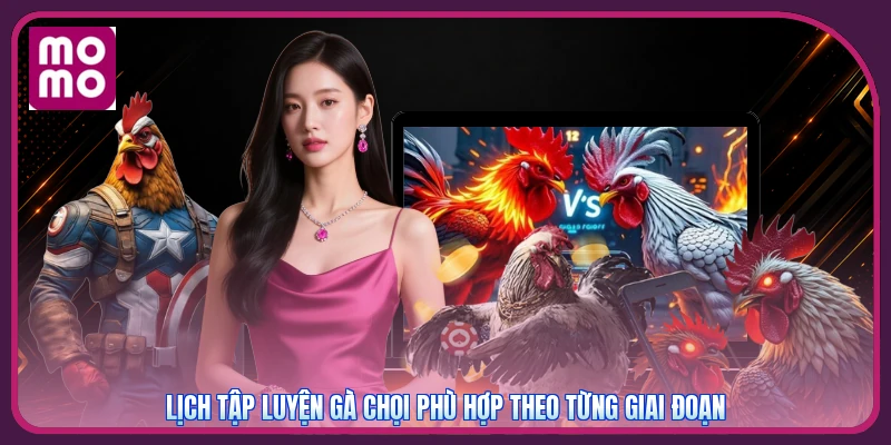 Cách Tập Luyện Cho Gà Chọi MMOO | Phương Pháp Chiến Thắng 2 Lịch tập luyện gà chọi phù hợp theo từng giai đoạn