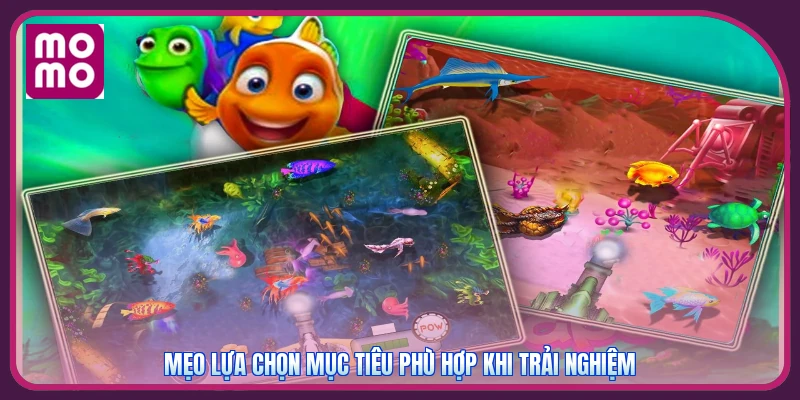 Mẹo lựa chọn mục tiêu phù hợp khi trải nghiệm
