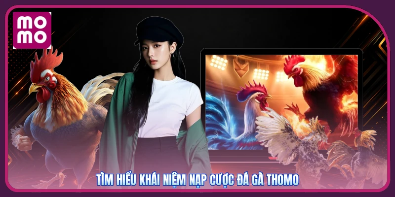 Tìm hiểu khái niệm nạp cược đá gà Thomo
