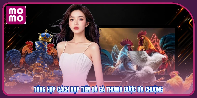 Tổng hợp cách nạp tiền đá gà thomo được ưa chuộng